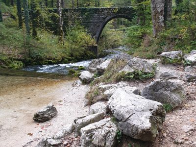 Izvir Kamniške Bistrice