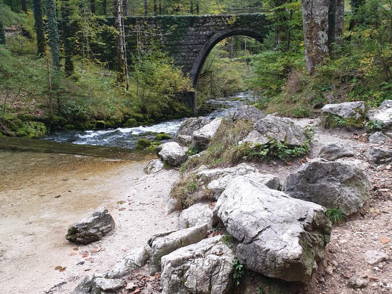 Izvir Kamniške Bistrice