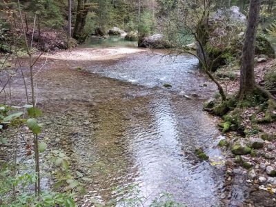 Izvir Kamniške Bistrice