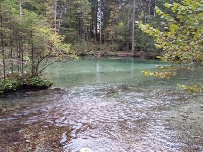 Izvir Kamniške Bistrice