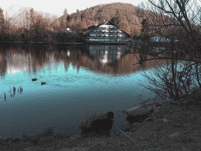 Jezero Črnava