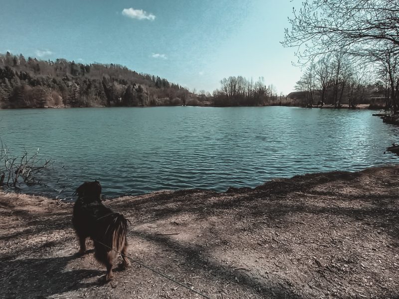 Jezero Pristava