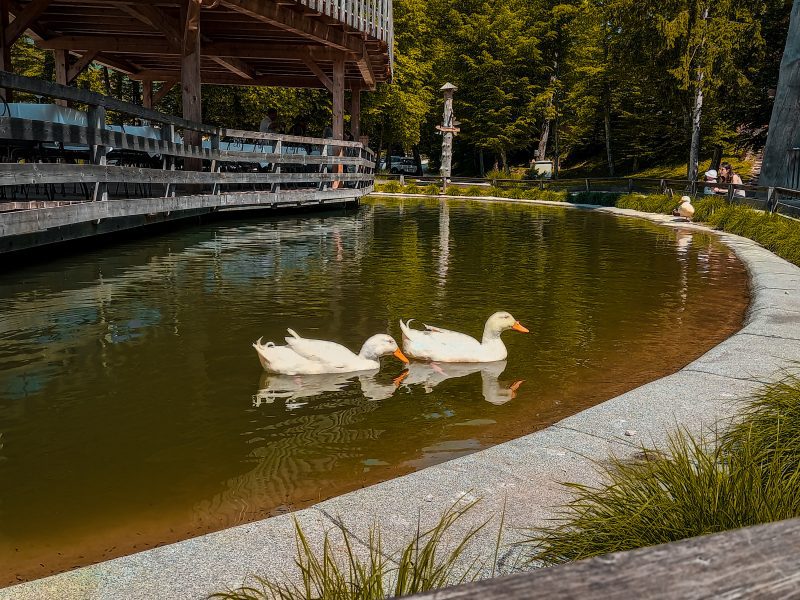 Slovenia Eco Resort