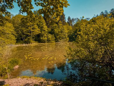 Jezero Črnelo, Radomlje
