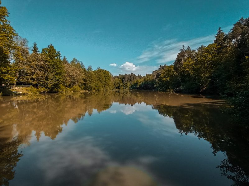 Jezero Črnelo, Radomlje