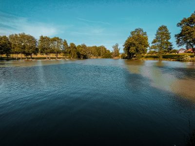 Prevojski ribnik, Lukovica