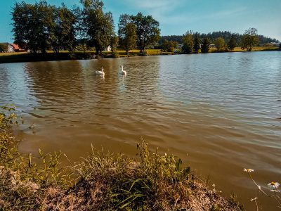 Prevojski ribnik, Lukovica