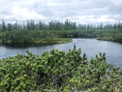 Lovrenška jezera, Pohorje