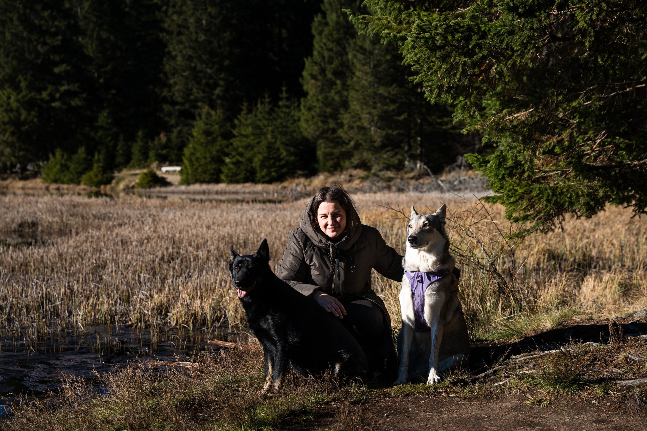 Črno jezero na Pohorju, Slovenska Bistrica