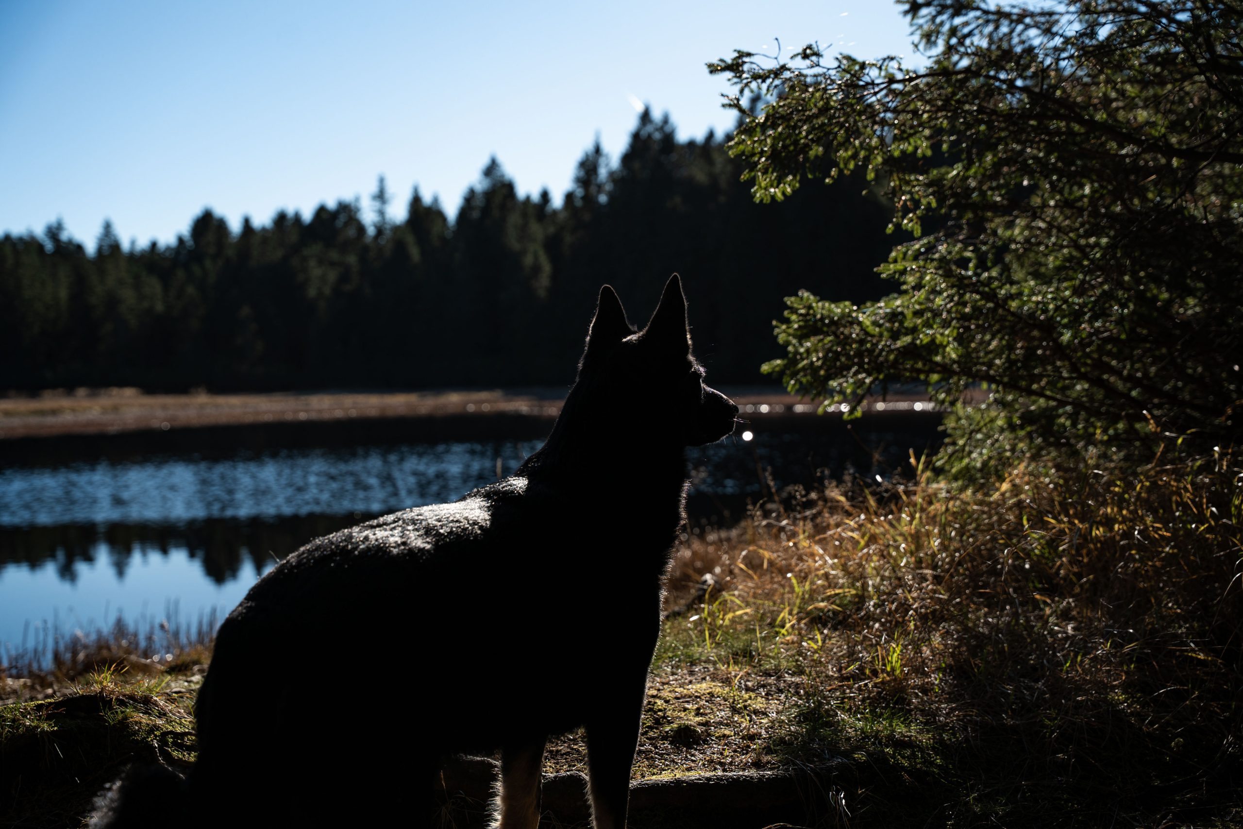 Črno jezero na Pohorju, Slovenska Bistrica