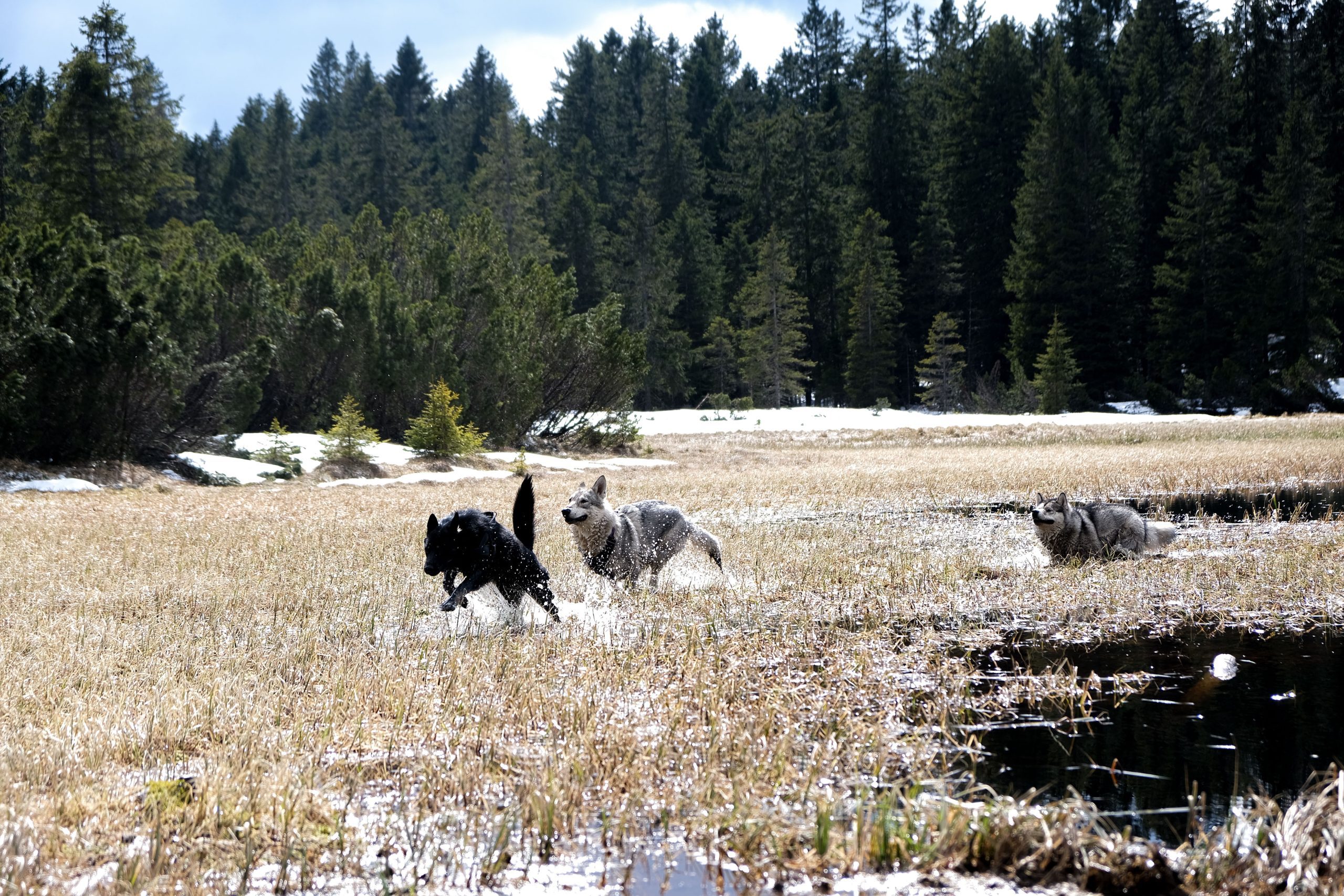 Črno jezero na Pohorju, Slovenska Bistrica