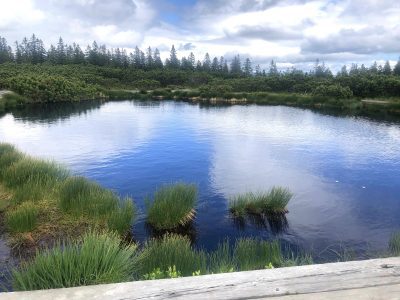 Lovrenška jezera, Pohorje