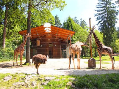 Živalski vrt Ljubljana