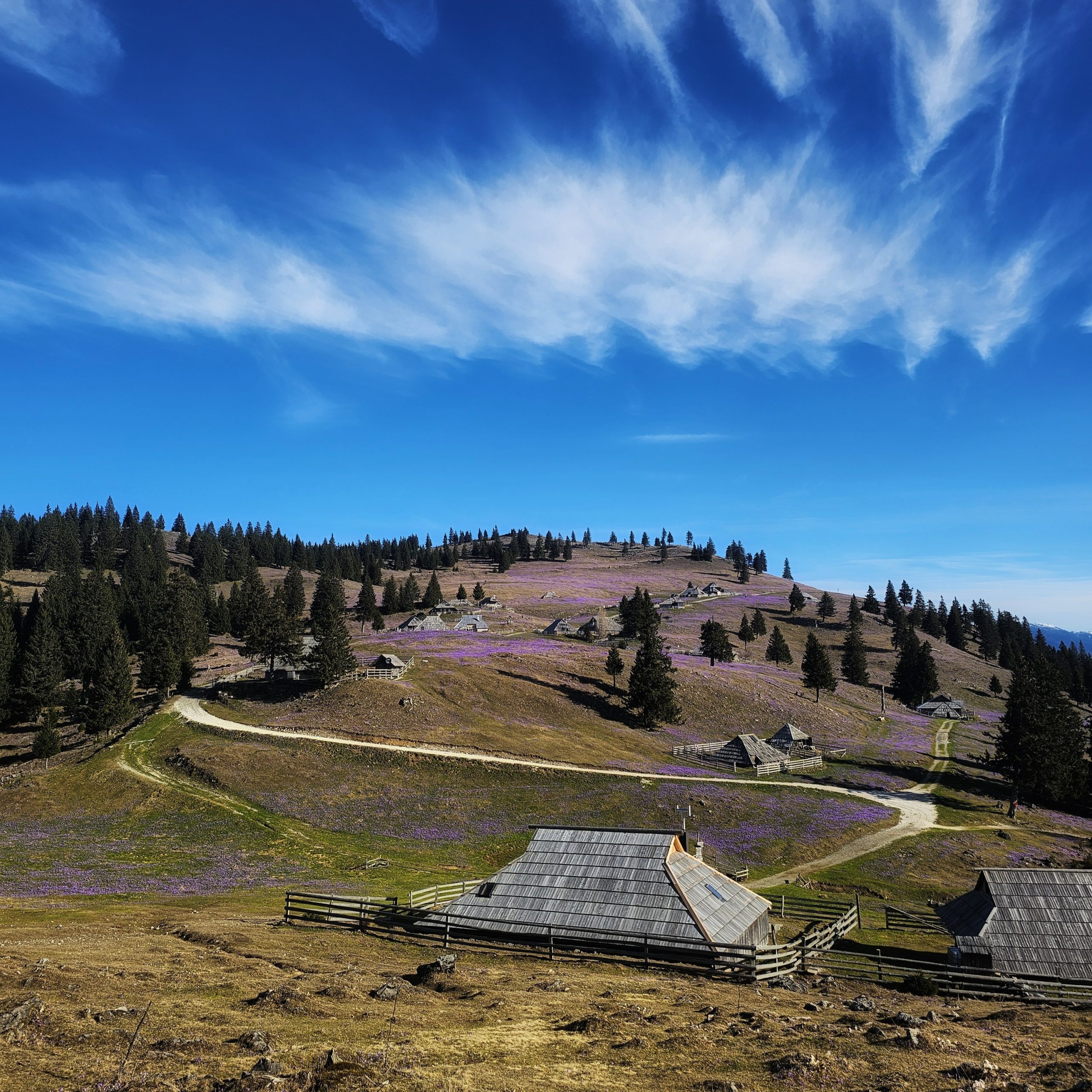 Velika planina