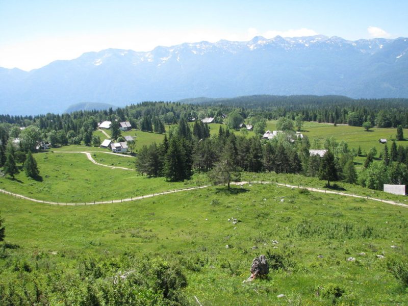 Planina Uskovnica