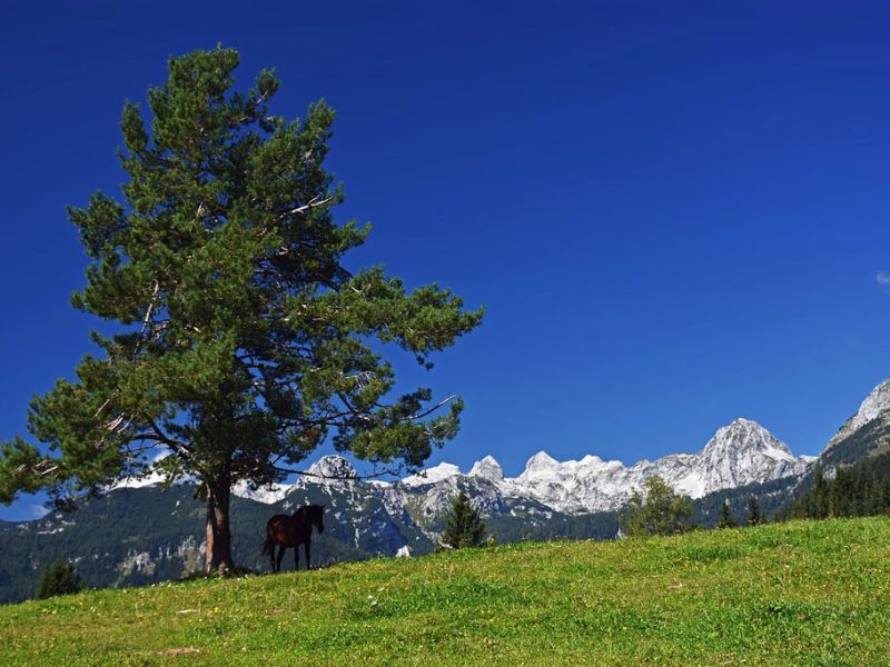 Planina Uskovnica