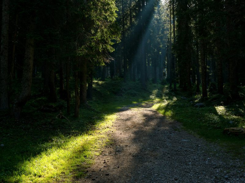 Planina Uskovnica