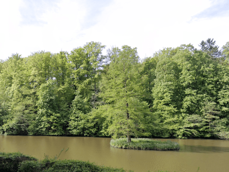 Trije ribniki, Maribor