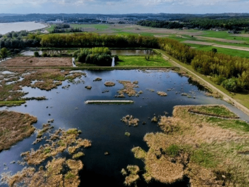 Naravni rezervat Ormoške lagune