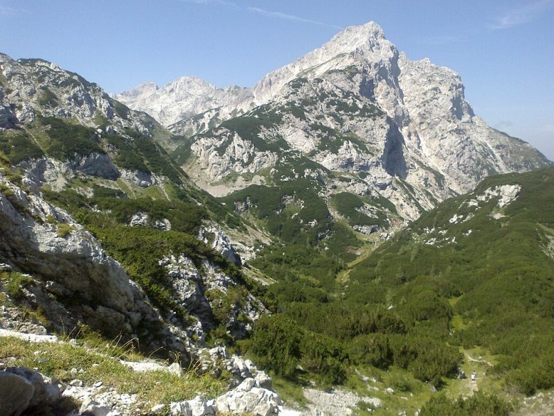 Ojstrica