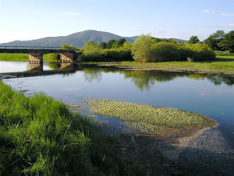Cerkniško jezero