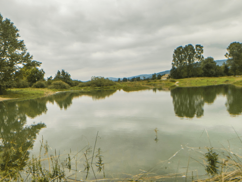 Cerkniško jezero