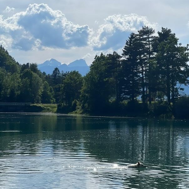 Jezero Završnica