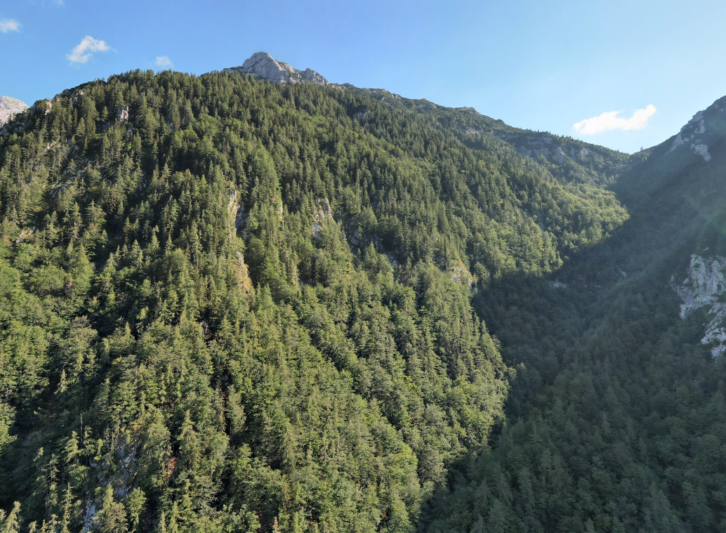 Planina in hrib Rzenik