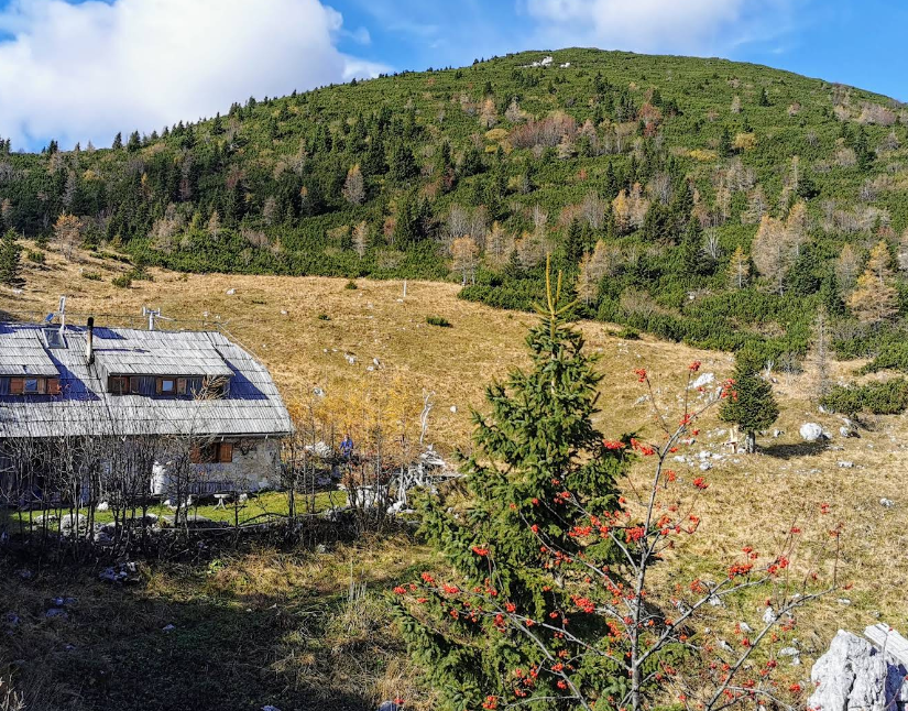 Planina in hrib Rzenik