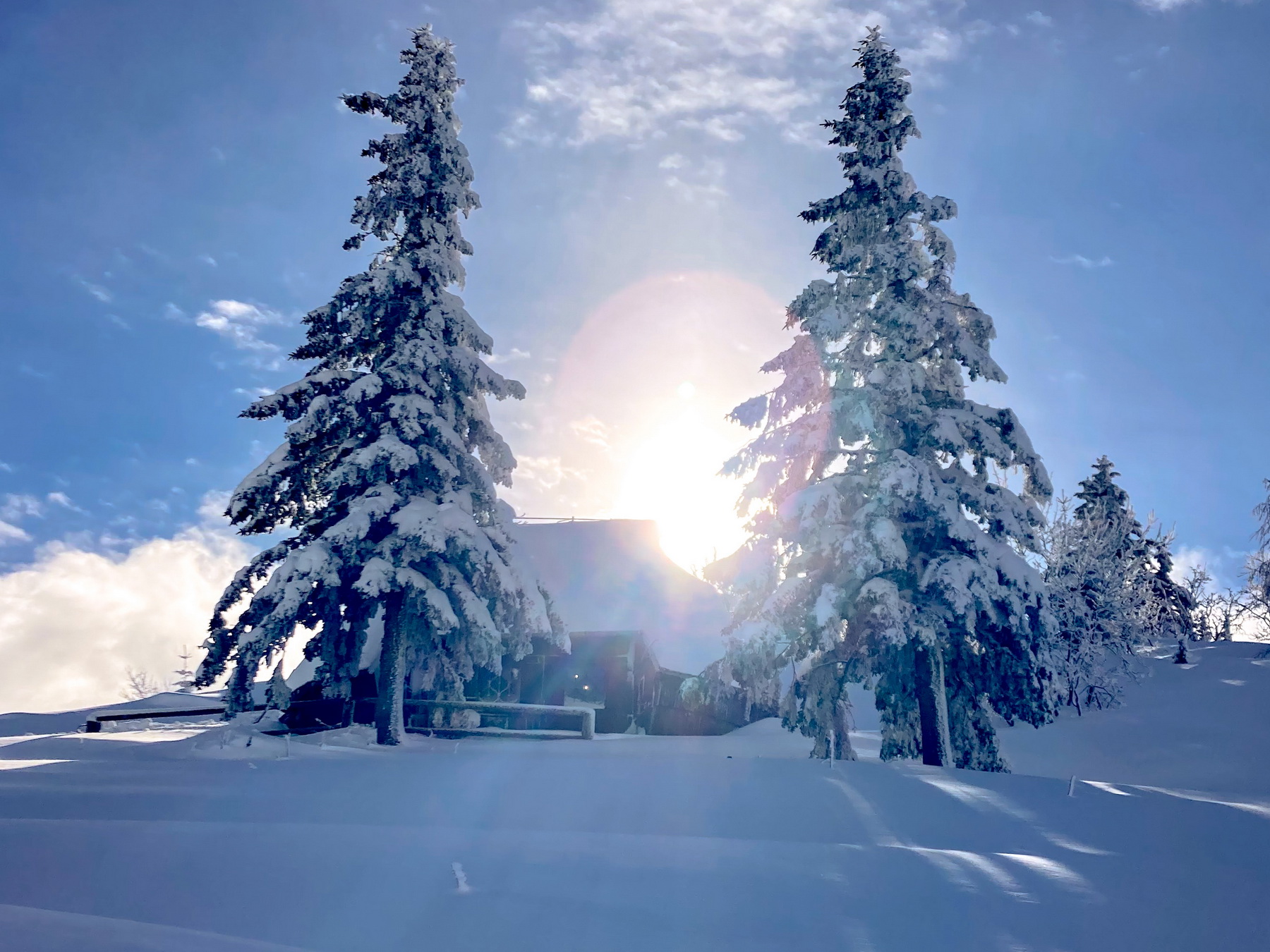velika_planina_korosica-01