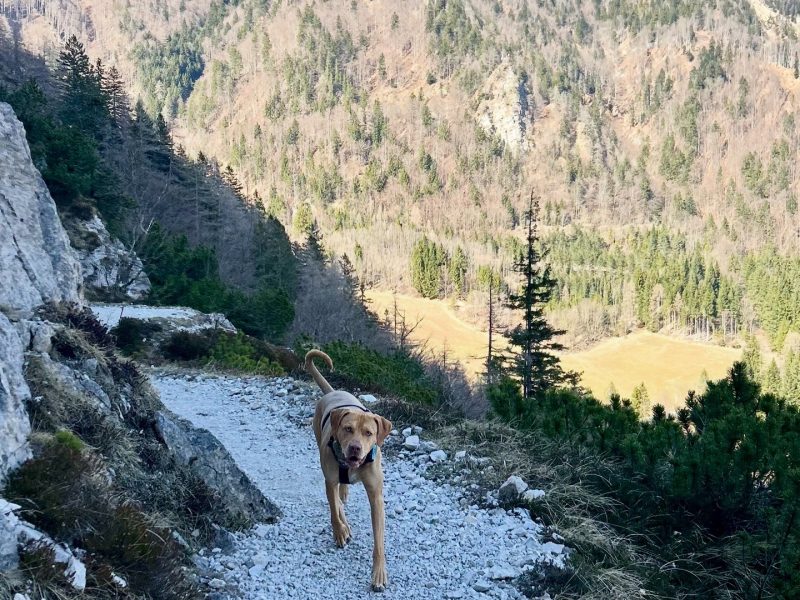 Planina Prevala