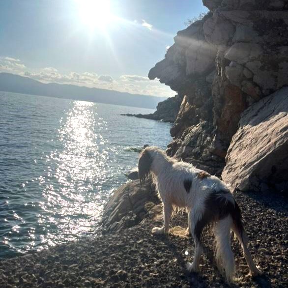 Pasja plaža Mikulova Kava, Kostrena, Hrvaška