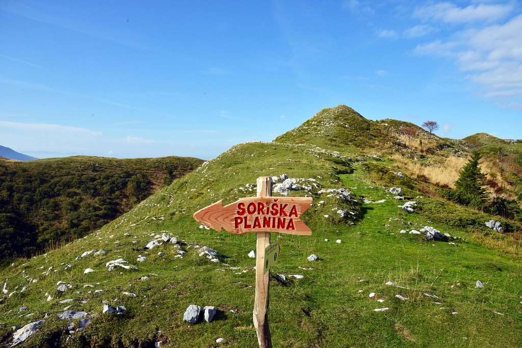 Soriška planina