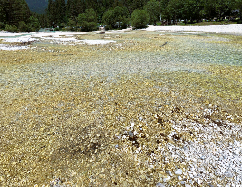 Sprehod ob reki Pišnici, Kranjska Gora