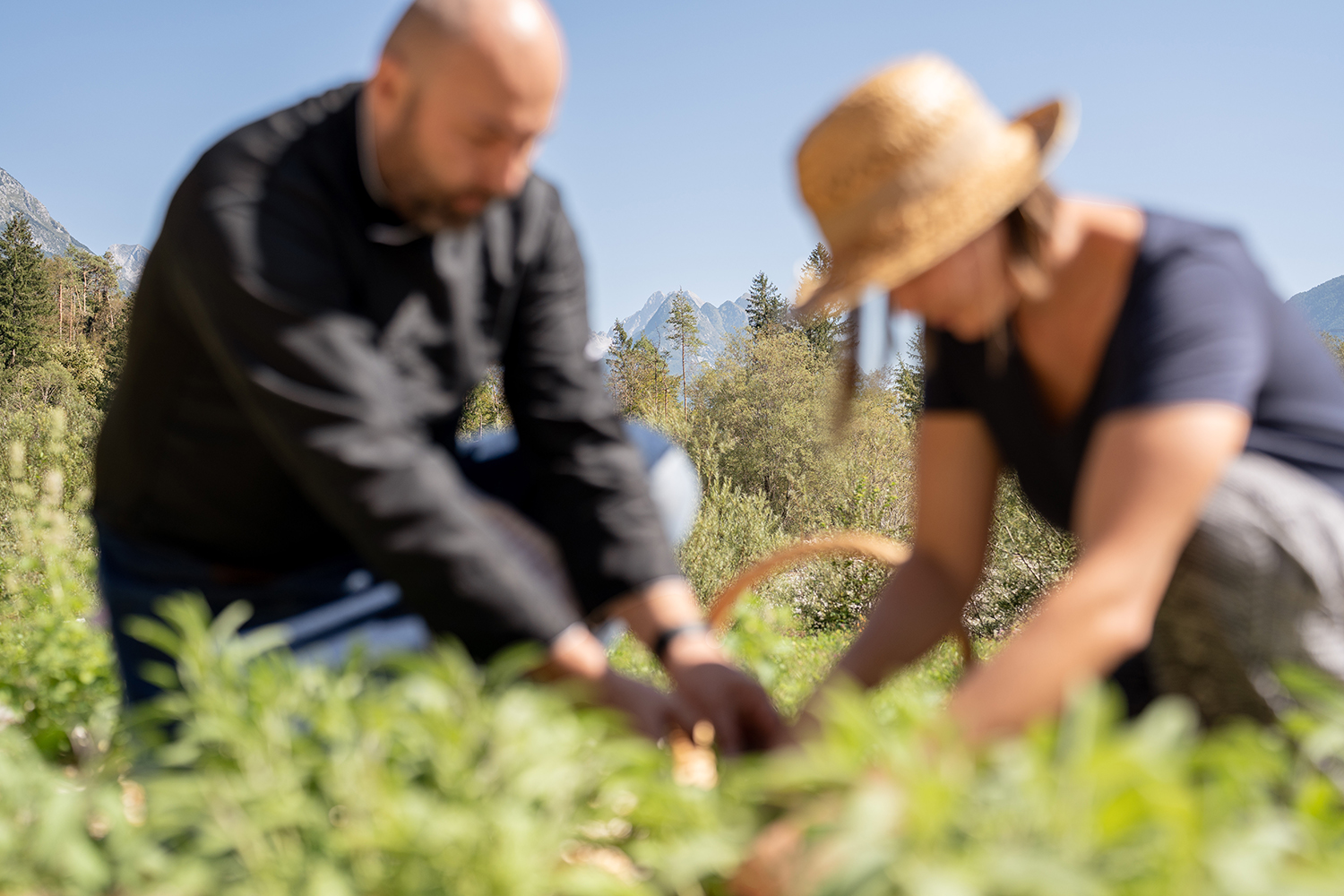 Hotel_Boka_Kulinarika-Ziga_Koren-230907-0066