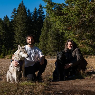 Gozdna, Saarloosova volčjakinja