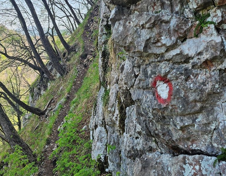 Krvavica