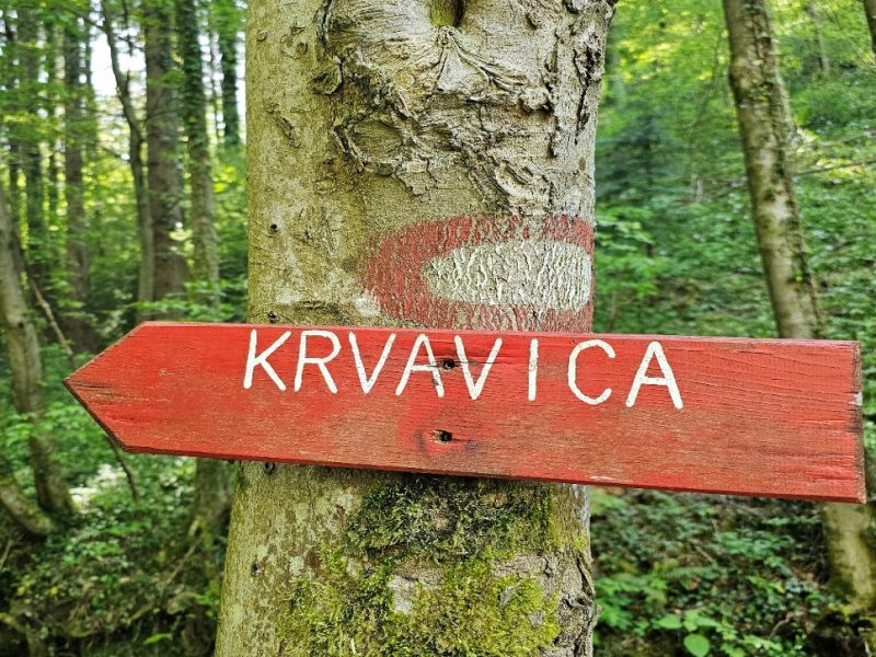 Krvavica